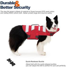 img 2 attached to 🐶 Premium Dog Life Jacket: Adjustable Pet Life Vests for Water Safety with Rescue Handle - Perfect Doggy Swimsuit for Swim, Pool, Beach, Boating