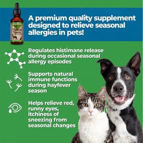 img 1 attached to 🌿 Seasonal Allergy Herbal Formula for Dogs & Cats - Effective, Sweet Tasting, Alcohol-Free Relief, Made in the USA