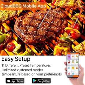 img 1 attached to Smart Wireless Bluetooth BBQ Thermometer with 6 Temperature Probes - Perfect for Smoker, Grill, and Oven Cooking