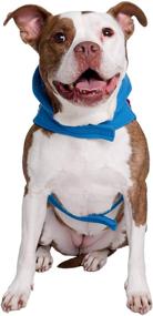 img 2 attached to Pet Krewe Super Grover Dog Costume - Fits Small, Medium, Large, and Extra Large Dogs - Ideal for Christmas, Halloween, Parties, Photoshoots, Ideal Gift for Dog Lovers