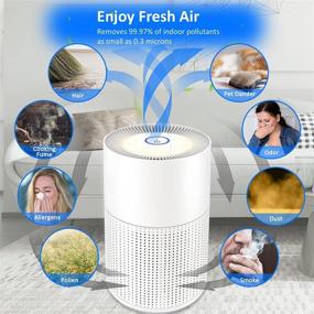 img 4 attached to 🌬️ WSTA True HEPA Air Purifier for Home and Office, Portable Desktop Air Cleaner for Allergies, Pets, Smoke, Dust with Night Light