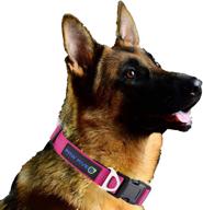 🐶 paw five orbit premium dog collar - reflective, neoprene-lined, heavy duty buckle, large size (17.5-24") - diamond pink logo