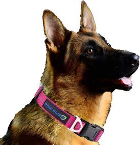 img 4 attached to 🐶 Paw Five Orbit Premium Dog Collar - Reflective, Neoprene-Lined, Heavy Duty Buckle, Large Size (17.5-24") - Diamond Pink