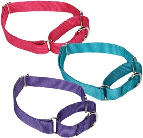 img 1 attached to Raspberry Nylon Martingale Pet Collar by Guardian Gear - Enhanced SEO