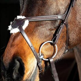 img 1 attached to Horze Prescott Cross Noseband Bridle