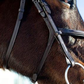 img 3 attached to Horze Prescott Cross Noseband Bridle