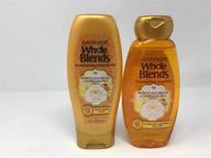 garnier whole blends shampoo & conditioner with moroccan argan and camellia oils logo