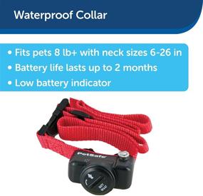 img 3 attached to 🐱 PetSafe In-Ground Fence for Dogs and Cats over 8 lb - from the Parent Company of INVISIBLE FENCE Brand - Includes Lightweight Waterproof Collar with Tone and Static Correction" --> "PetSafe In-Ground Fence for Dogs and Cats over 8 lb - Waterproof Collar with Tone and Static Correction by the Parent Company of INVISIBLE FENCE Brand