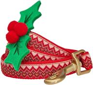 🎄 christmas festival dog leashes with 3 patterns by blueberry pet logo