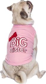 img 2 attached to 👕 Stylish Parisian Pet Dog Cat Clothes: Big Brother and Sister Tee Shirts