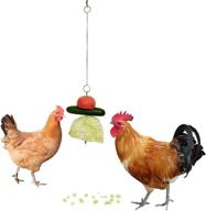 🐔 chicken wire fruit and vegetable holder | hanging chicken feeder with chain and skewer toy for hens, birds, parrots | ideal for rabbit hutches & cages logo