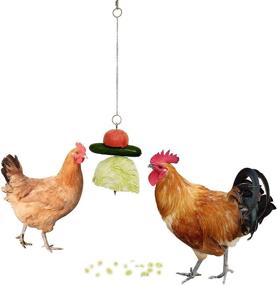 img 4 attached to 🐔 Chicken Wire Fruit and Vegetable Holder | Hanging Chicken Feeder with Chain and Skewer Toy for Hens, Birds, Parrots | Ideal for Rabbit Hutches & Cages