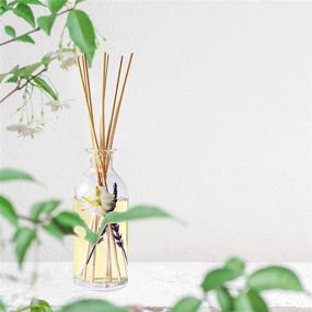 img 1 attached to 🌿 Reed Diffuser Set: Urban Naturals Lavender Vanilla Room Scent Infuser with Real Lavender & Natural Flowers – Soothing Aromatherapy, Perfect Housewarming Gift Idea