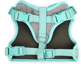 img 3 attached to 🐾 Enhanced Comfort for Dogs: MARTHA STEWART Tweed Adjustable Fit Harness