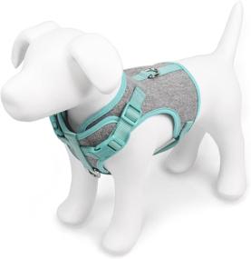 img 2 attached to 🐾 Enhanced Comfort for Dogs: MARTHA STEWART Tweed Adjustable Fit Harness