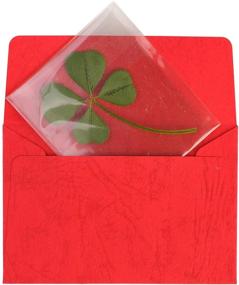 img 1 attached to 🍀 ARTMART Natural Genuine Real Four-Leaf Clover Green Irish Shamrock St. Patrick's Day Lucky Charm Pressed Flower for Crafts and Supplies - Large Size