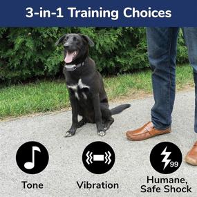 img 3 attached to 🐶 Extra Free Spirit Remote Trainer Add-A-Dog Collar - Enhanced Tone, Vibrate, and Shock Features for Improved Training