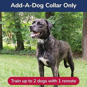 img 2 attached to 🐶 Extra Free Spirit Remote Trainer Add-A-Dog Collar - Enhanced Tone, Vibrate, and Shock Features for Improved Training