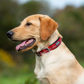 img 1 attached to 🐾 Discover the Enhanced Safety of the Terrain D.O.G. Reflective Neoprene Lined Dog Collar