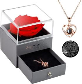 img 4 attached to 🌹 Forever Love: Preserved Red Rose with I Love You Necklace in 100 Languages - Perfect Forever Rose Gift for Valentine's Day, Anniversary, Wedding, Birthday - Ideal Romantic Gift for Mom, Girlfriend, Wife, Best Friend (Red)