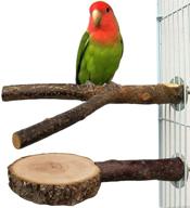 🐦 duvindd natural wood bird perches - 2 pcs - parrot stand & toy - ideal for conure, cockatiel, budgies - paw grinding branches - bird cage platform logo