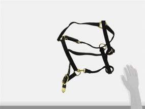 img 1 attached to 🐴 Hamilton Adjustable Chin Nylon Halter: Premium 1-Inch Safety and Comfort