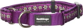 img 2 attached to 🌼 20mm Purple Martingale Daisy Chain Choke Collar by Red Dingo - Medium/Large Size