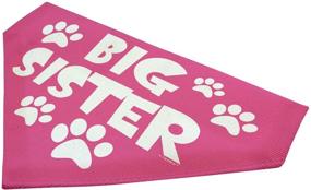 img 3 attached to 🐶 Big Sister Dog Gifts - Personalized Dog Bandana for Big Sister Dogs - Small Dog Bandana Scarf Bib - Big Sis Gift