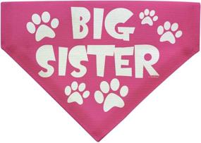 img 4 attached to 🐶 Big Sister Dog Gifts - Personalized Dog Bandana for Big Sister Dogs - Small Dog Bandana Scarf Bib - Big Sis Gift