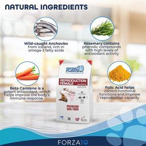 img 2 attached to Forza10 Active Reproduction Formula Dry Dog Food, Aiding Mating Challenges and Promoting Canine Fertility, for Dogs of All Breeds and Sizes, 18 lb Bag