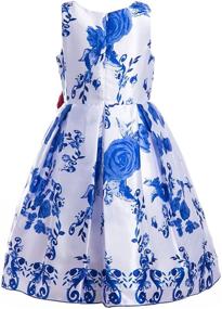 img 3 attached to 🌸 Emma Riley Girls Flower Party Special Occasion Dress: A Perfect Blend of Elegance and Charm