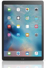 img 2 attached to Renewed Apple iPad Pro Tablet Gray, 256GB Wi-Fi 9.7in - Enhanced SEO