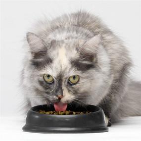 img 1 attached to Премиум сухой корм для кошек от Open Farm: рецепт с мясом, выращенным с уважением к животным, суперпитательные продукты без ГМО, без искусственных ароматизаторов и консервантов.