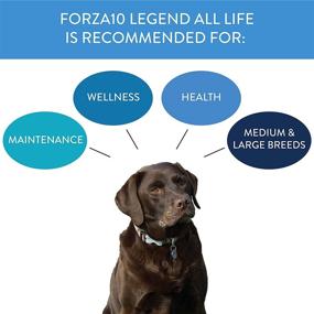img 3 attached to Forza10 Ingredients Veterinarian Recommended Prescription