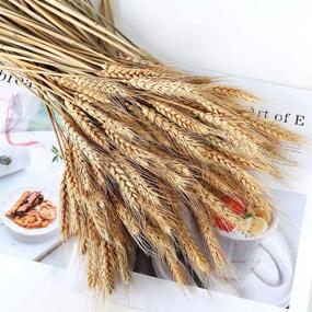 img 1 attached to 🌾 100 Stems of Natural Dried Wheat Stalks: Ideal for Flower Arrangements and Home Wedding Decor