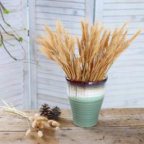 img 2 attached to 🌾 100 Stems of Natural Dried Wheat Stalks: Ideal for Flower Arrangements and Home Wedding Decor