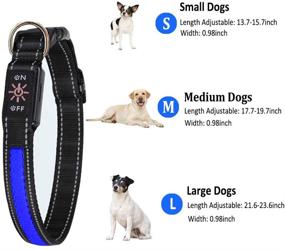 img 1 attached to 🐶✨ Warbriie LED Dog Collar: USB Rechargeable Christmas Lights for Small Medium Large Dogs