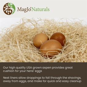 img 1 attached to 🐹 MagJo Pet Excelsior Aspen Shaving Nesting Liners - 12 Pack для улучшения SEO