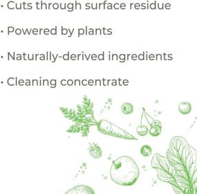 img 3 attached to 🍃 Plant Therapy Natural Fruit and Vegetable Wash Concentrate, 8 oz Green Bottle, Infused with Essential Oils, Vegan, Made in USA