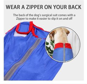 img 1 attached to 🐾 BIGNADO Recovery Suit: Optimal Post-Surgery Clothing for Dogs - Dog's Postoperative Vest for Comfortable Healing and Protection