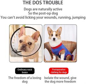 img 3 attached to 🐾 BIGNADO Recovery Suit: Optimal Post-Surgery Clothing for Dogs - Dog's Postoperative Vest for Comfortable Healing and Protection