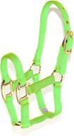 hamilton 1-2 3/4 nylon equestrian halter for horses logo