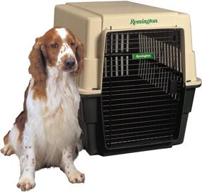 img 2 attached to 🏠 Beige/Green Remington Plastic Dog Kennel