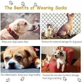 img 1 attached to 🐾 Riccioofy Dog Socks and Shoes Set - Paw Protectors with Straps for Traction Control, Anti-Slip, and Waterproof - Suitable for Small, Medium, Large Dogs and Cats - 4 Pack