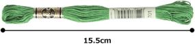 img 1 attached to 🧵 6-Strand Embroidery Cotton Floss in Light Christmas Green - DMC