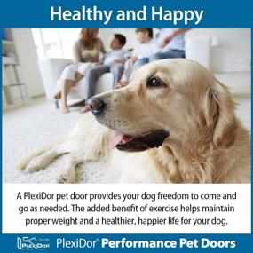 img 3 attached to 🚪 PlexiDor Performance Pet Doors - Large Wall Mount Dog Door with Lock and Key - Silver - Ideal for Dogs and Cats