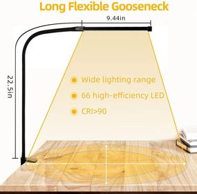 img 1 attached to LIBORA LED Desk Lamp with Clamp: Eye-Caring Reading Light for Home Office, 3 Modes 10 Brightness, USB Adapter, Flexible Gooseneck & Memory Function