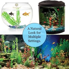 img 1 attached to 🌿 SunGrow Plastic Aquarium Plant Set - 10 x 4.7 Inches - Vibrant Green Leaves with Resin Base - Pack of 3 Pieces