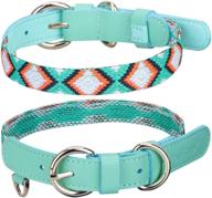 🐶 genuine leather and colorful canvas adjustable cat and small dog collars by petshome logo