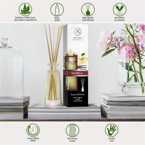 img 3 attached to 🎋 Natural Vanilla Reed Diffuser 3.4 oz (100ml) - Scented Reed Diffuser Set - Non Alcohol - Aromatherapy Gift - Bamboo Sticks - Ideal for SPA, Home, Office, and Fitness Club